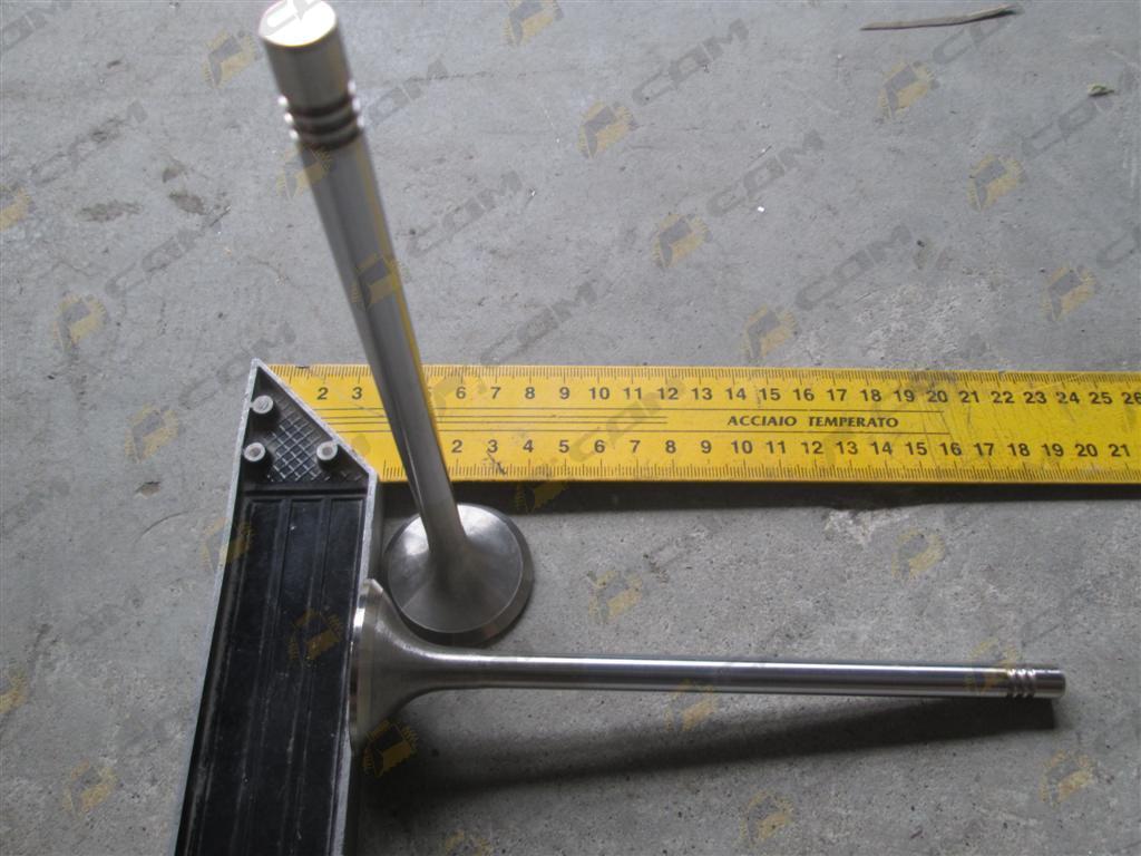 Клапан впускной D12 HOWO A7VG1246050022